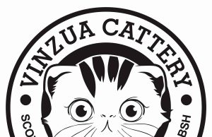 Vinzua Cattery
