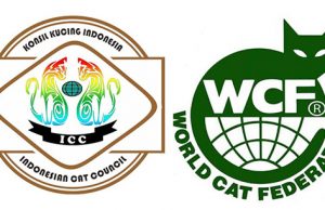 Welcome logo icc wcf 2020