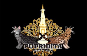Putridita Cattery