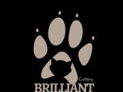 Brilliant Claws Cattery
